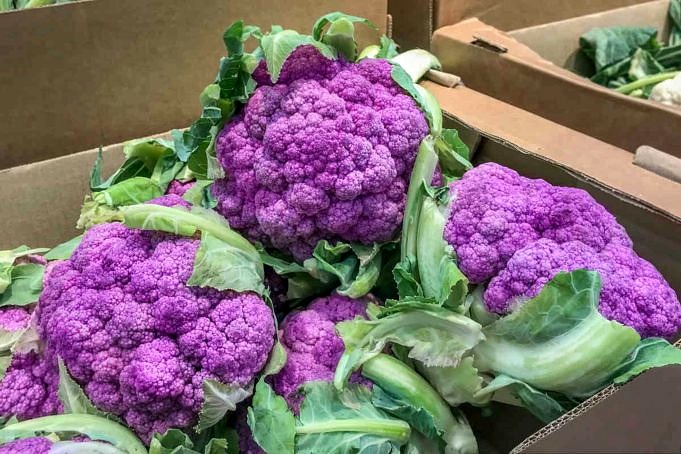 27 tipi di broccoli che dovresti coltivare